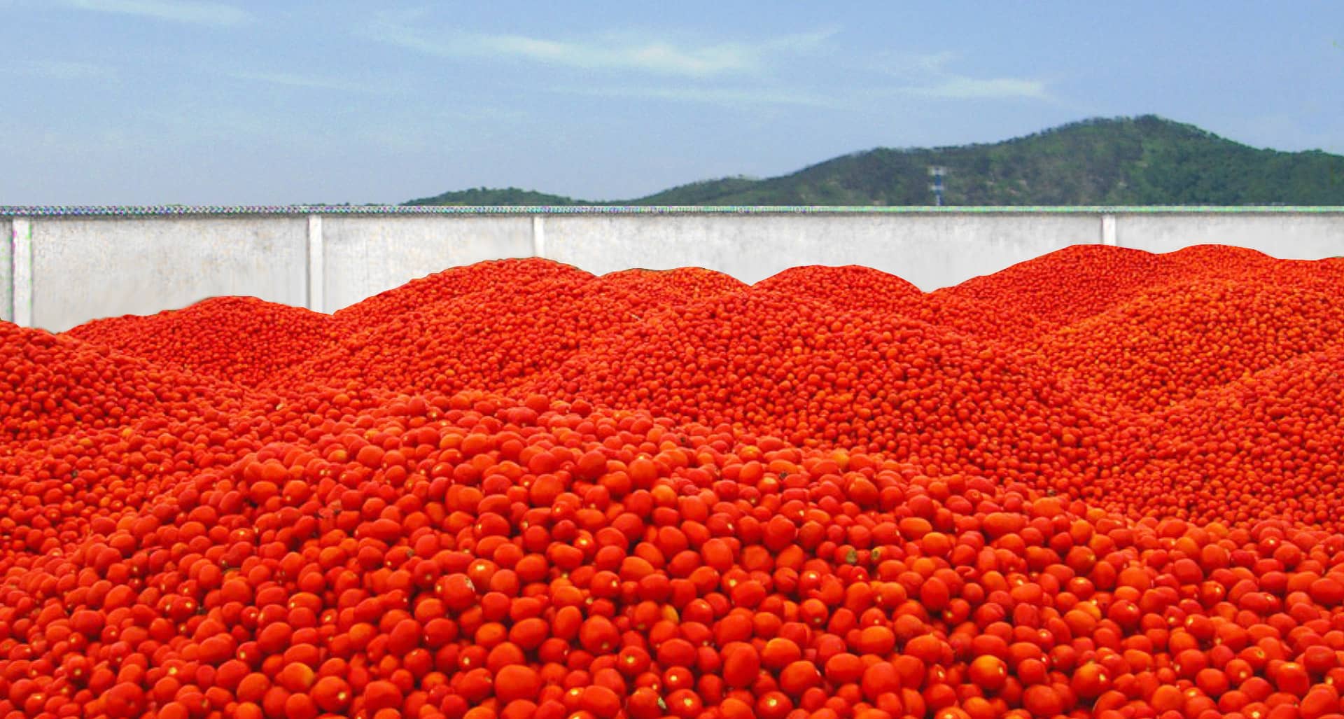 Ningbo Junyoufu Food Co, Ltd.